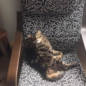 Meet your Posher, Libby